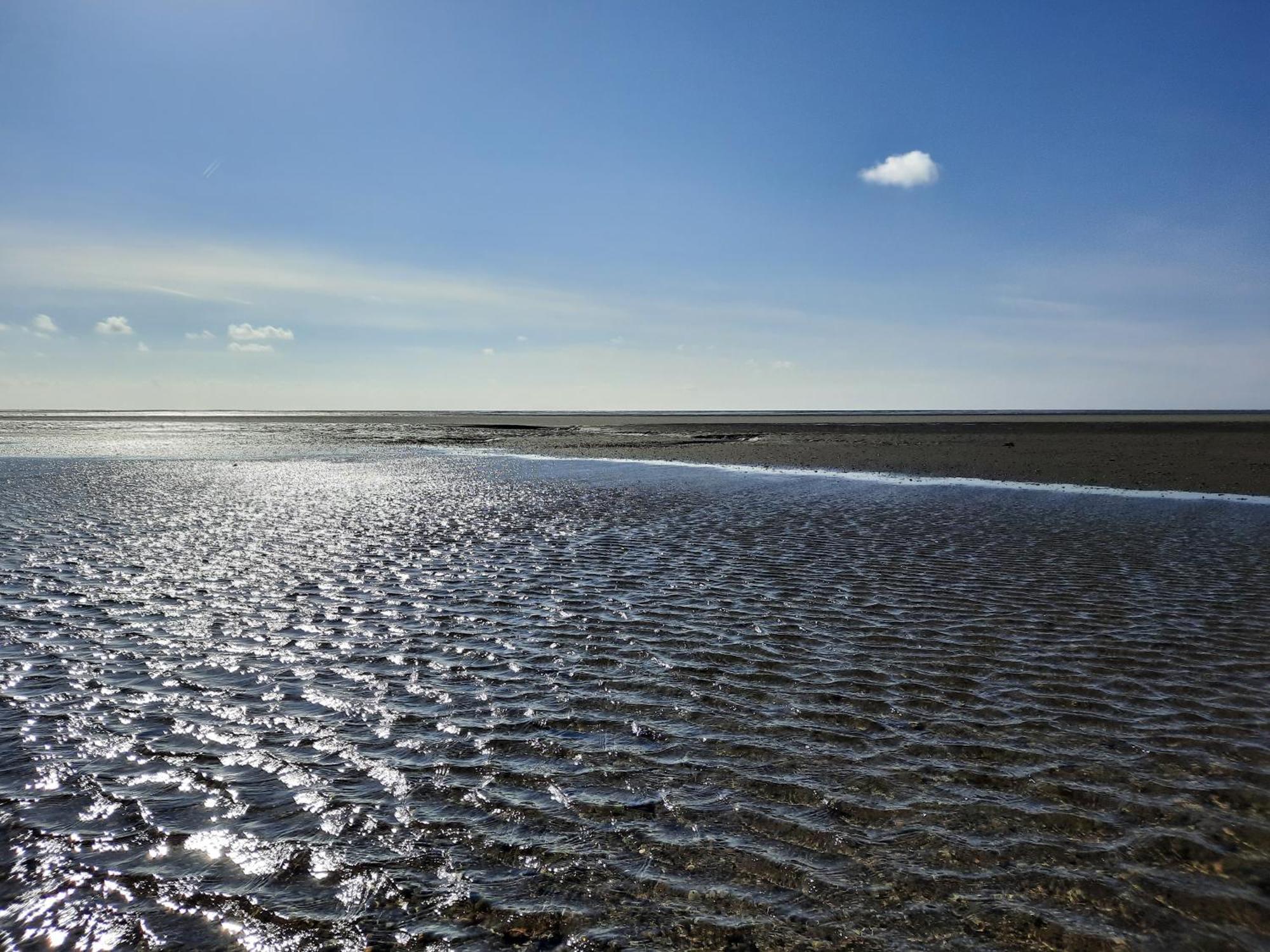 Ferienhaus Fischkopf Büsum Esterno foto
