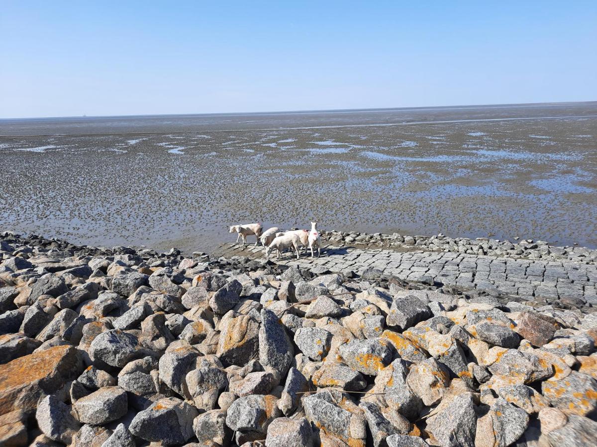 Ferienhaus Fischkopf Büsum Esterno foto
